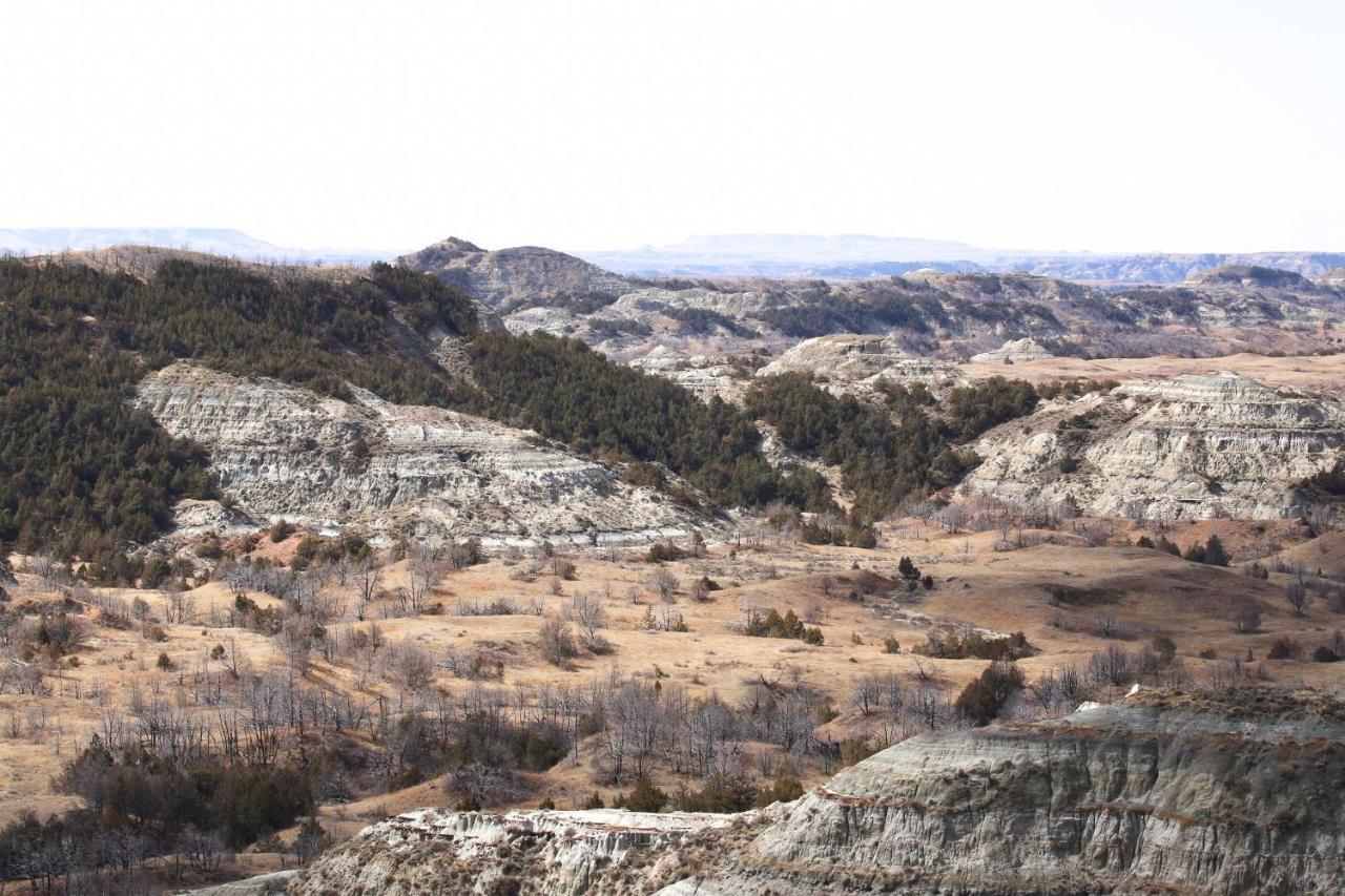 Badlands Suite Less Than 1 Mi To Teddy Roosevelt Park! 梅多拉 外观 照片