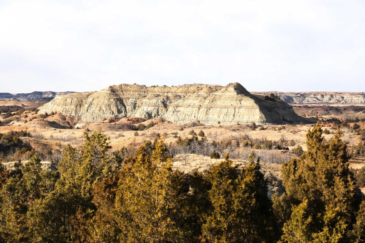 Badlands Suite Less Than 1 Mi To Teddy Roosevelt Park! 梅多拉 外观 照片