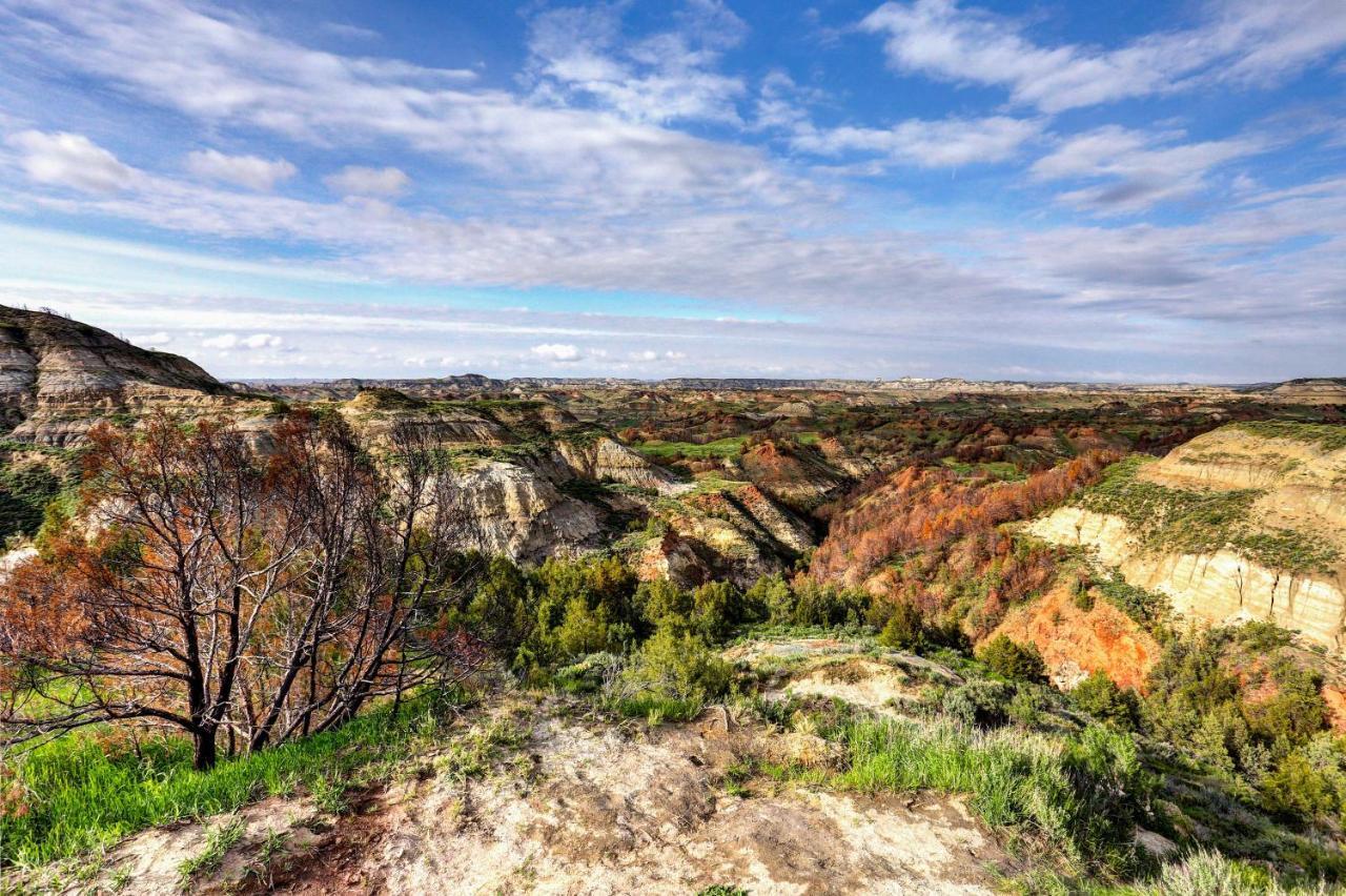 Badlands Suite Less Than 1 Mi To Teddy Roosevelt Park! 梅多拉 外观 照片