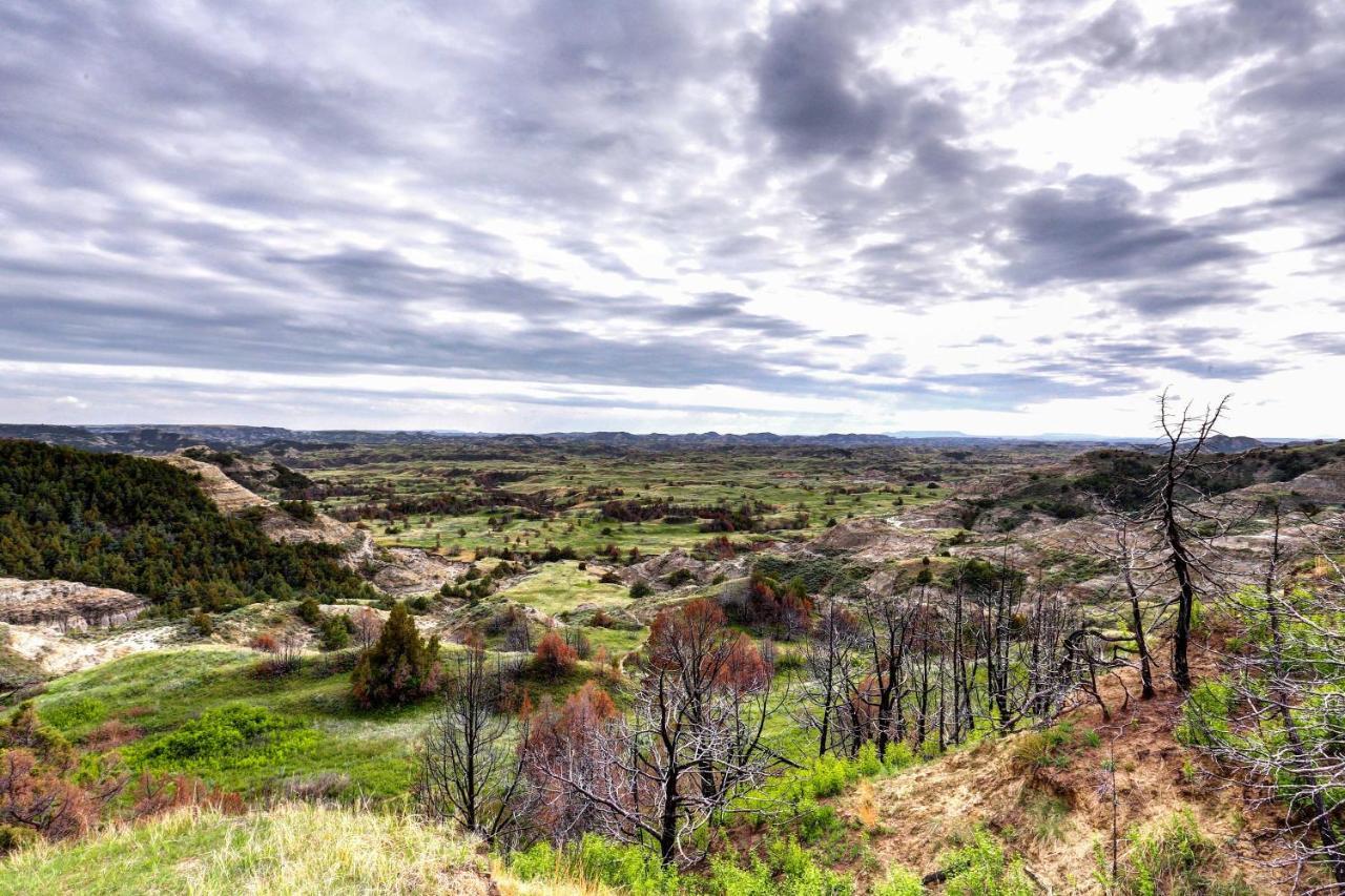 Badlands Suite Less Than 1 Mi To Teddy Roosevelt Park! 梅多拉 外观 照片